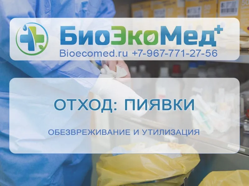 Отход: пиявки